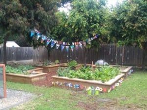 Celebrating veg garden