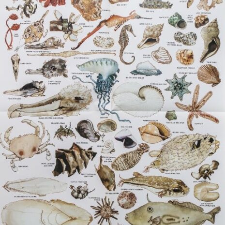 Beachcombing Poster