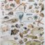 Beachcombing Poster