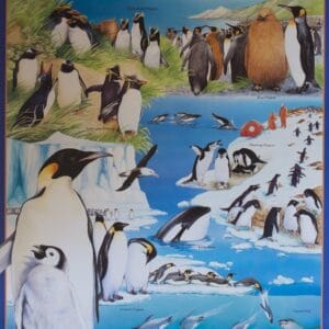 Gould League Penguins Poster