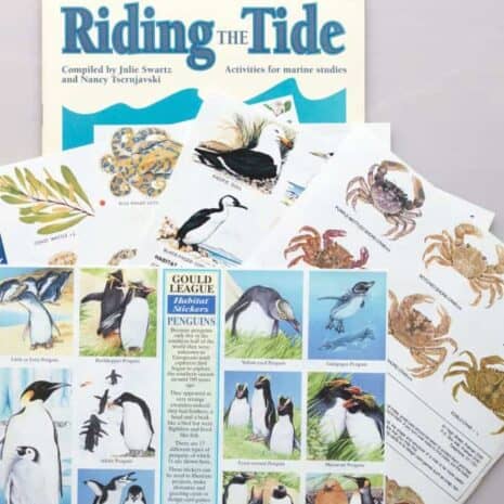 WEB_Riding-Tide-Stickers WEB_Riding-Tide-Stickers