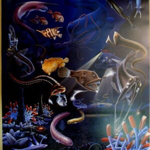 Gould League Creatures of the Deep Poster