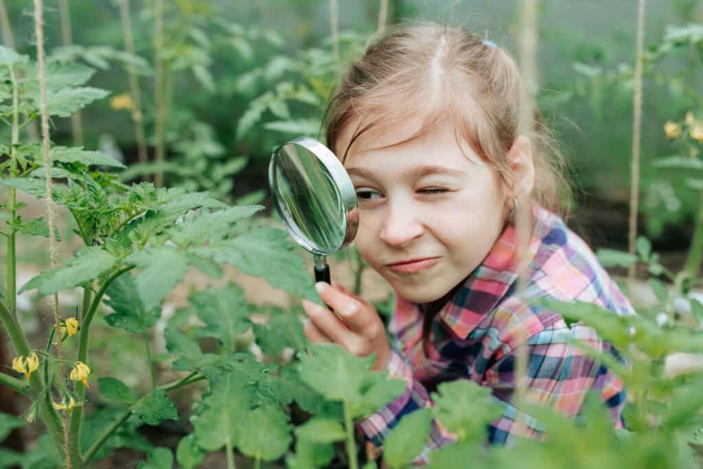 Handsome,kid,girl,naturalist,scientist,explores,plant,life,and,insect