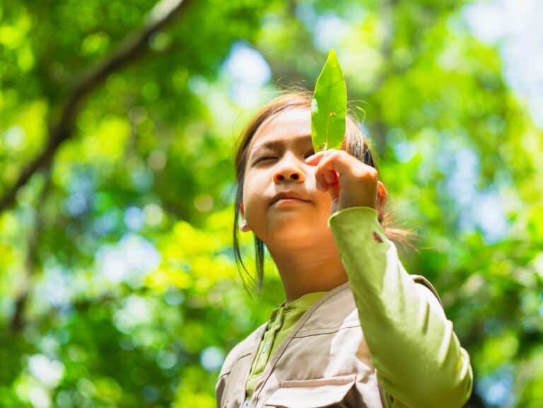 A,happy,little,girl,is,exploring,the,forest,and,looking