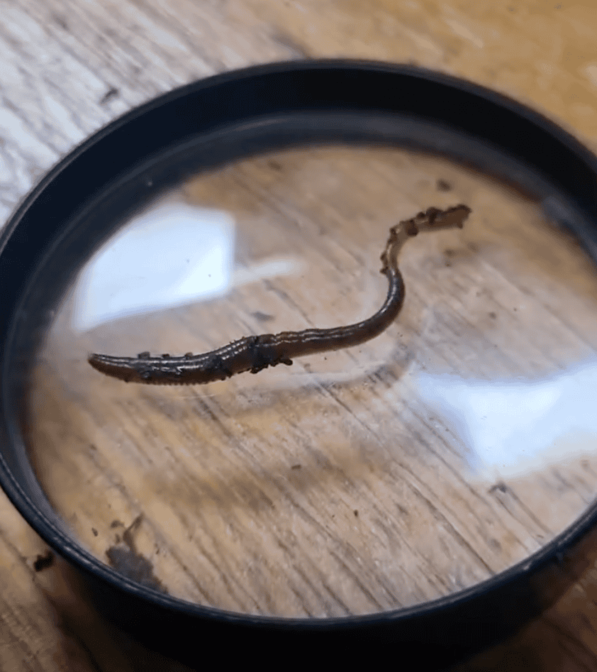 Screenshot 2026 02 19 at 1.48.54 pm