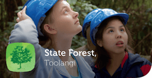 Gould League excursions at Toolangi State Forest