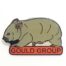 2007-wombat