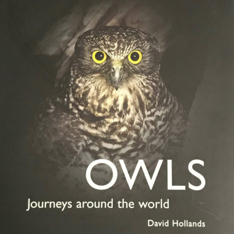 OWLS-Journeys around the world