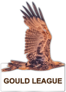 2026 Badge Wedge tail Eagle