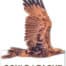 2026 Badge Wedge tail Eagle