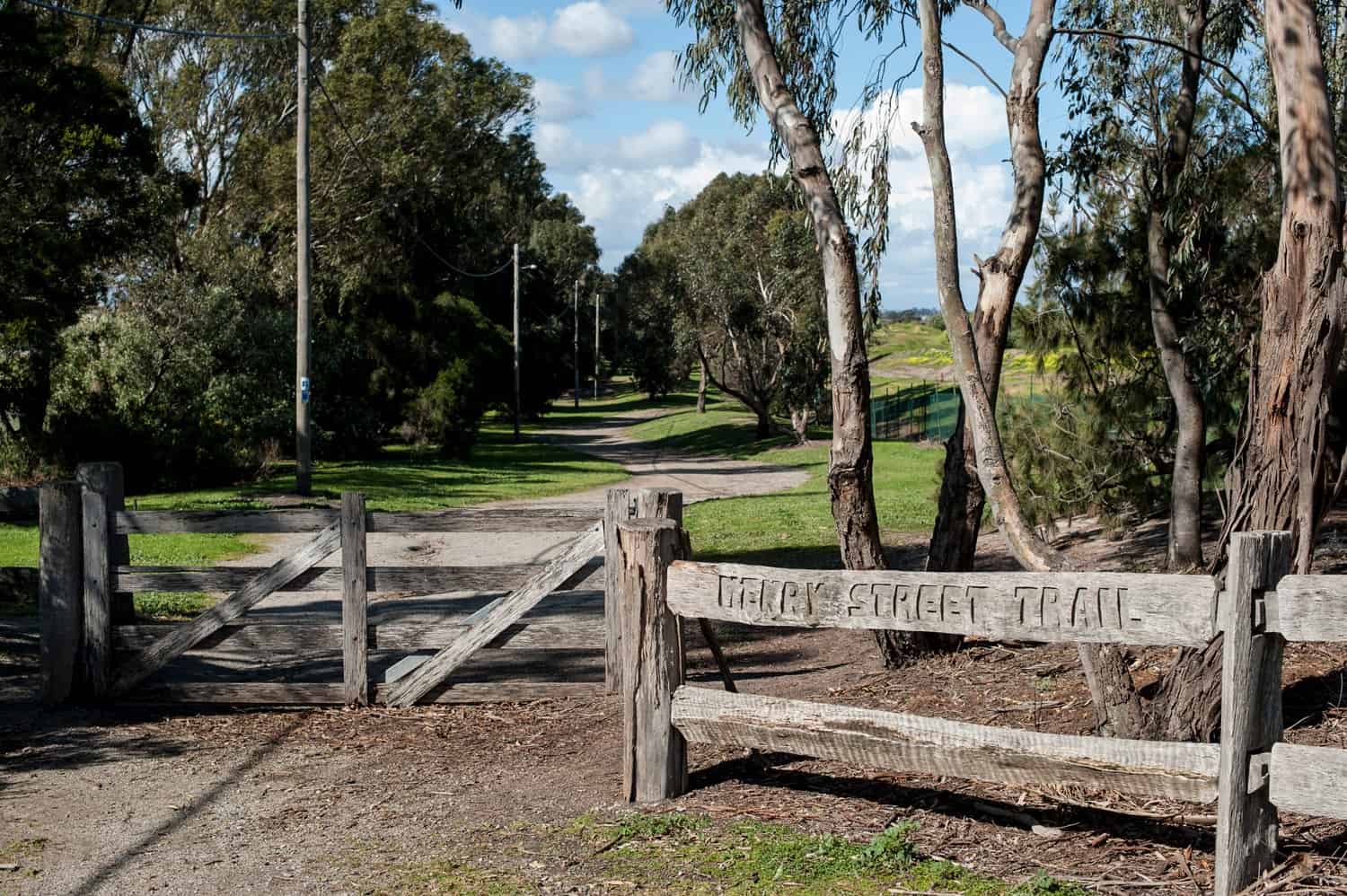 Bird Watching in the City of Kingston Gould League