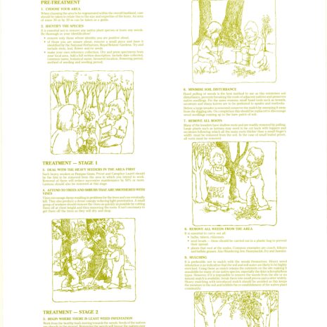 Bush Invaders Back Bush Invaders Back