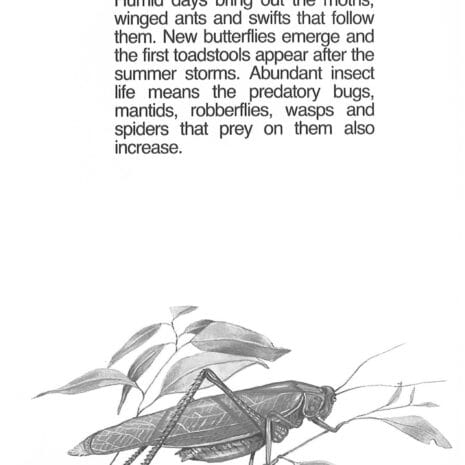 Month page example Month page example