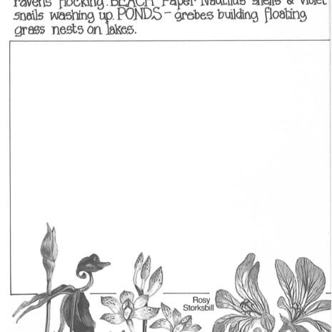 Sample page Sample page