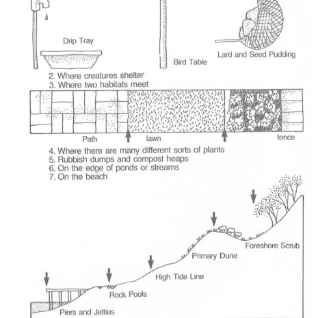 Where to look Where to look