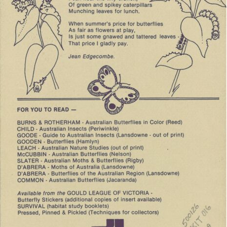 butterfly2 butterfly2