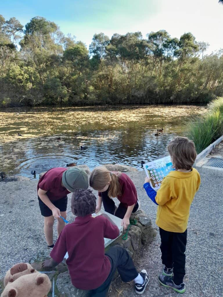 Signal 2025 07 02 162746 006