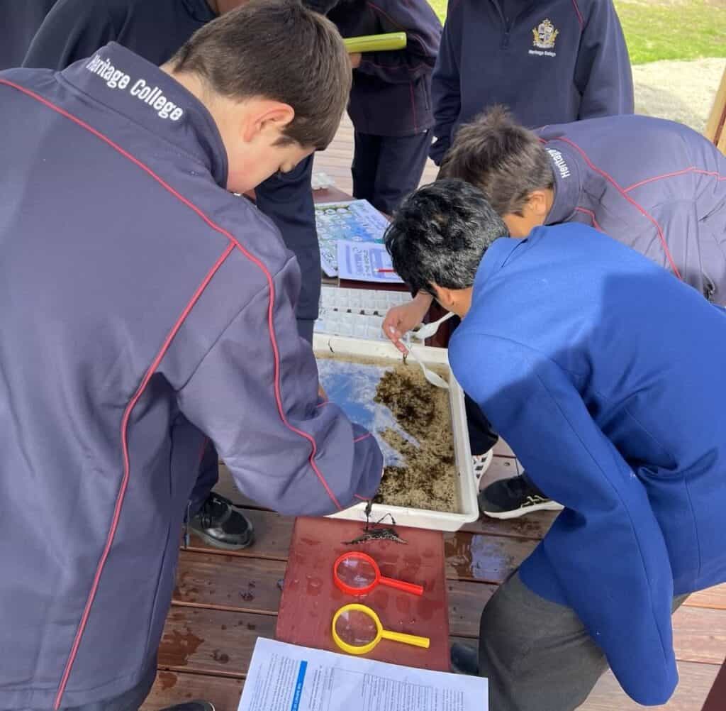 Water in world cropped