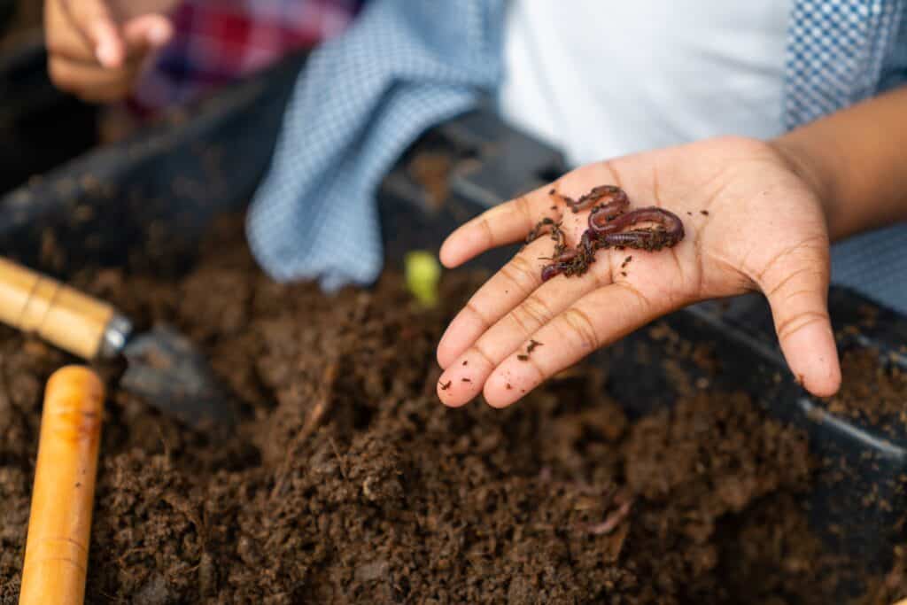 Happy,gay,man,couple,and,little,daughter,learning,to,farm