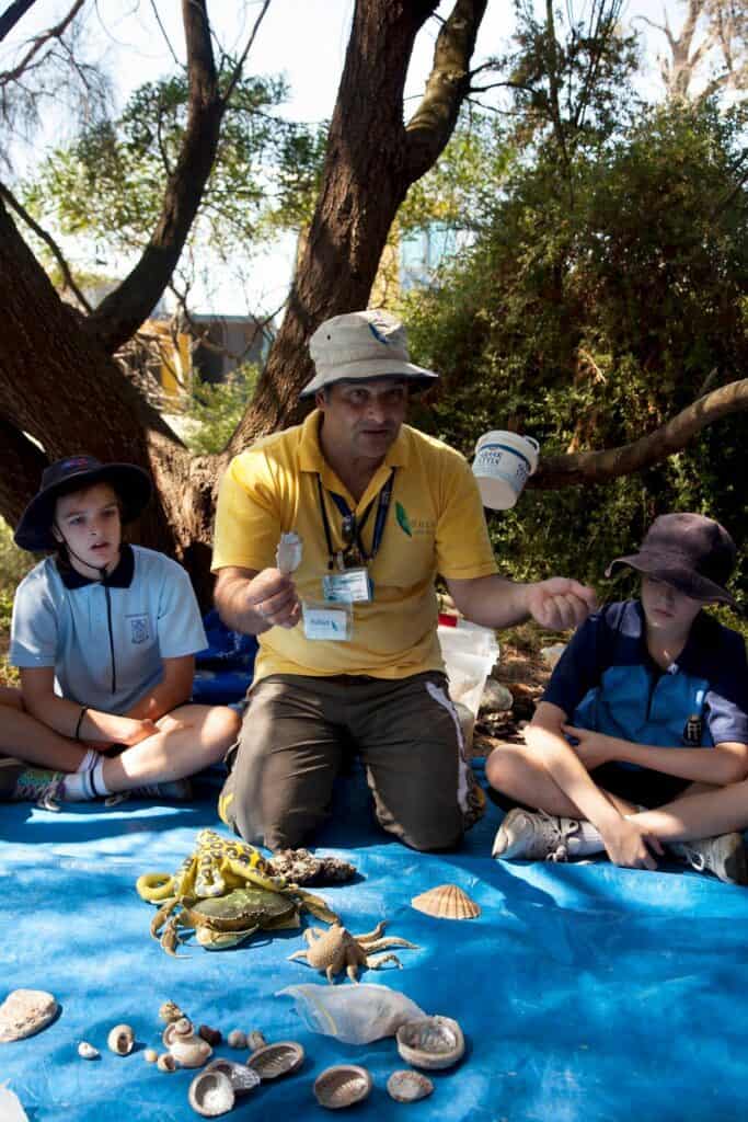 Hakan ricketts treasures maybe beachbox