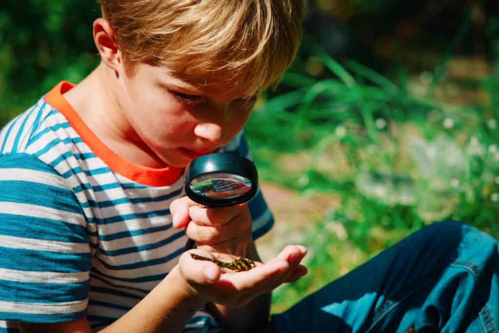 Kids,learning, ,child,exploring,dragonfly,with,magnifying,glass