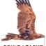 2026 Badge Wedge tail Eagle