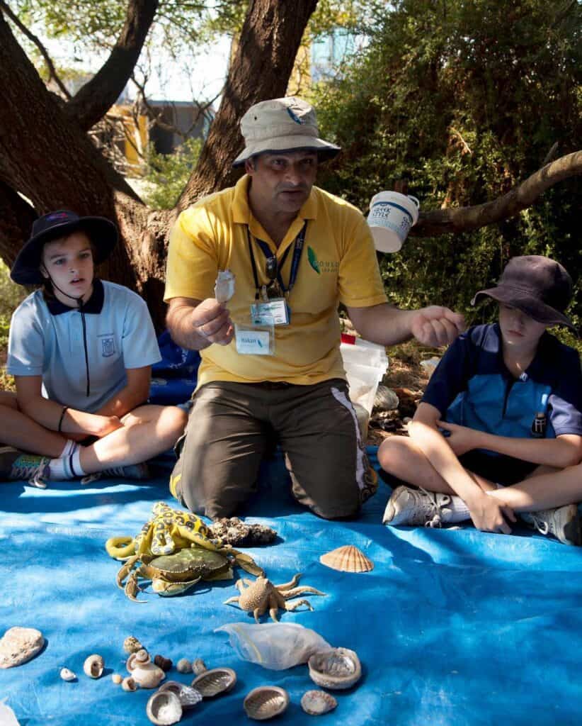 Hakan Ricketts treasures maybe beachbox cropped